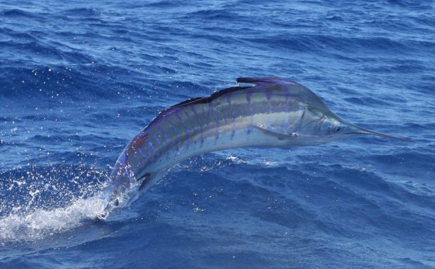 REPORT: Chasing an Interclub podium finish